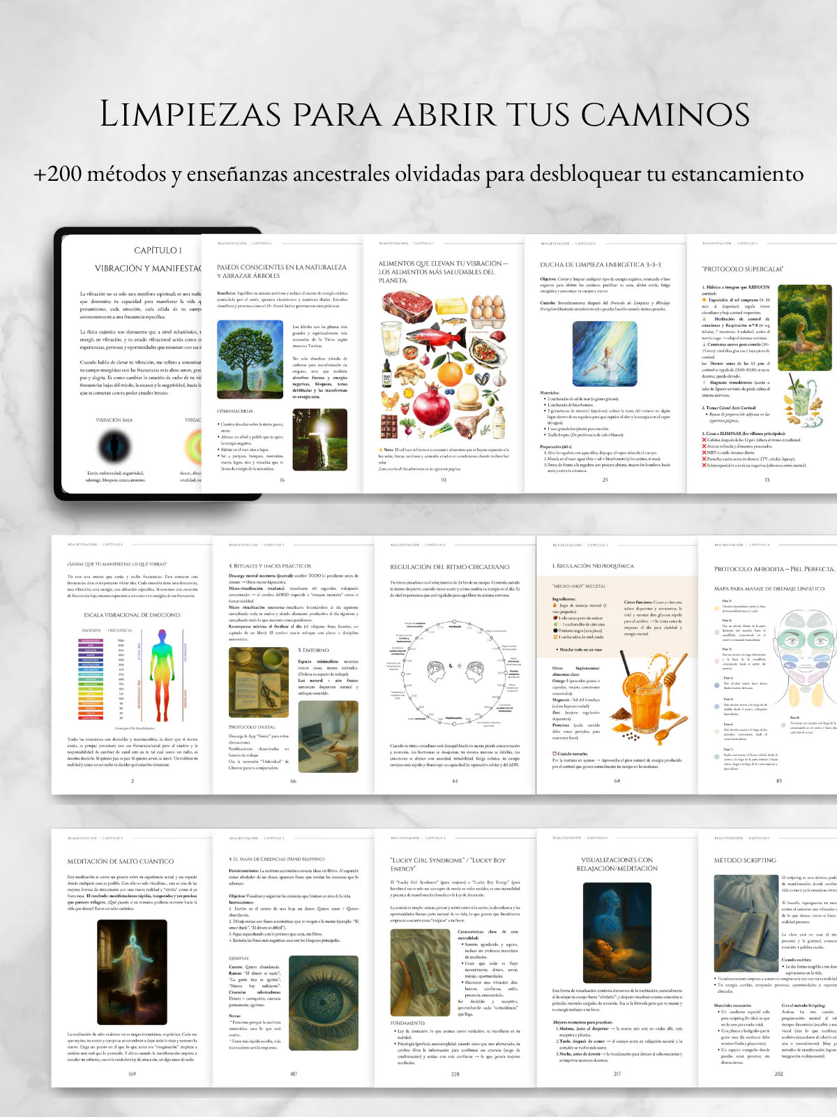 REALIFESTACIÓN - Libro Digital